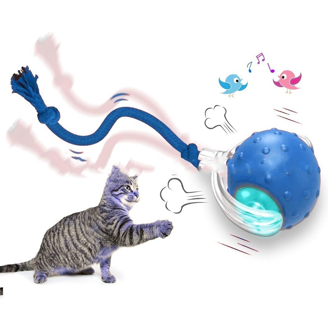 Self-Driving Motorized Rolling Cat Ball