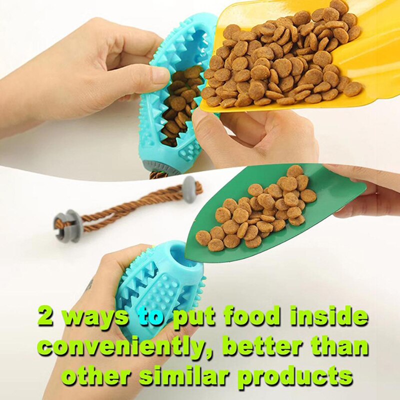 Rubber Molar Bite Toy with Suction Cup