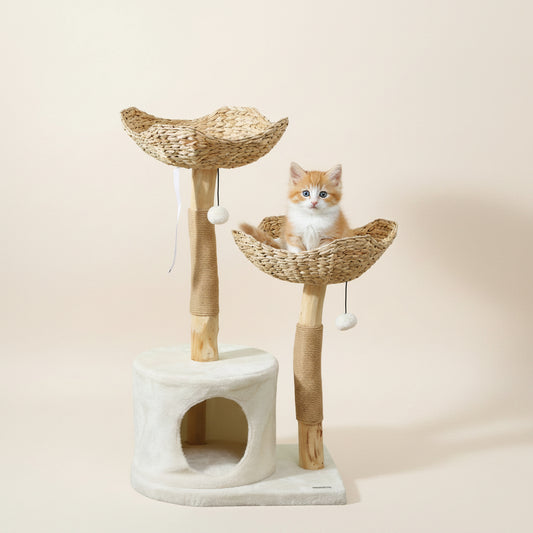 Natural Wood & Seagrass Cat Tree, 37" Boho Cat Tower with Woven Perches & Condo