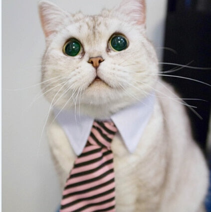 Cute Pet Bow Tie Set