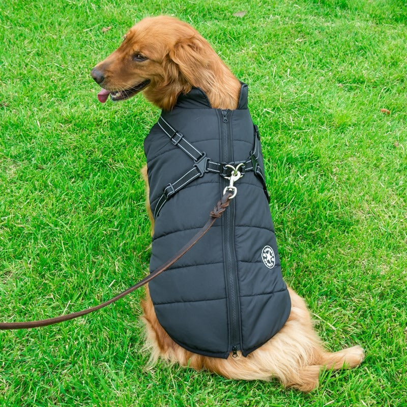 Thickened Waterproof Big Dog Raincoat