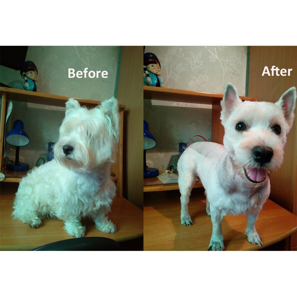 Cordless Pet Hair Trimmer Kit