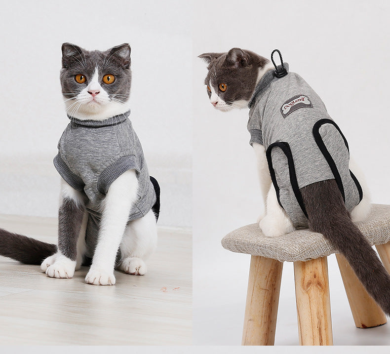 Cat Surgery Recovery Suit