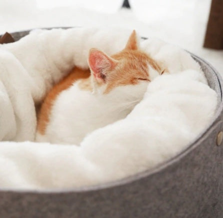 Plush enclosed pet nest bed with removable cushion every pet needs a hideaway