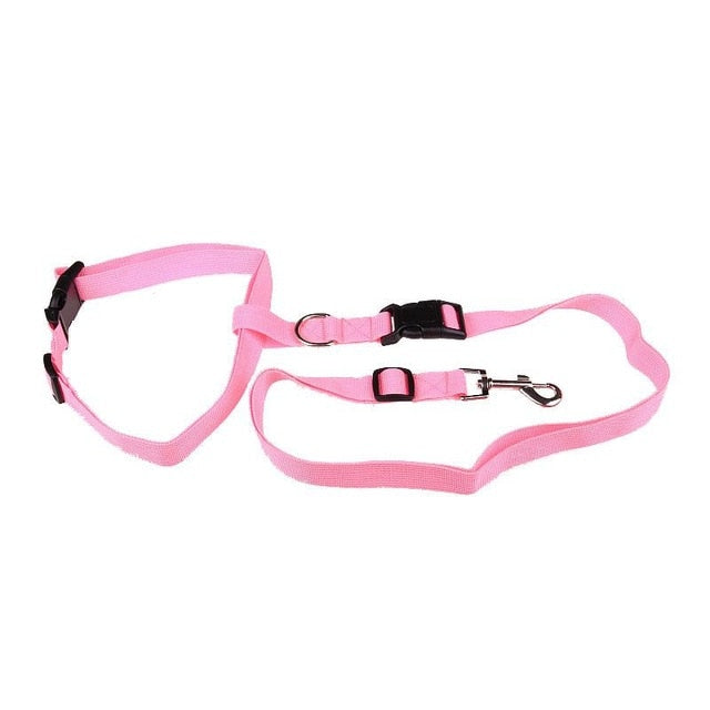 Adjustable Bungee Dog Running Leash