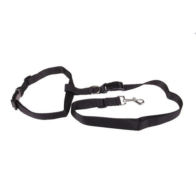 Adjustable Bungee Dog Running Leash