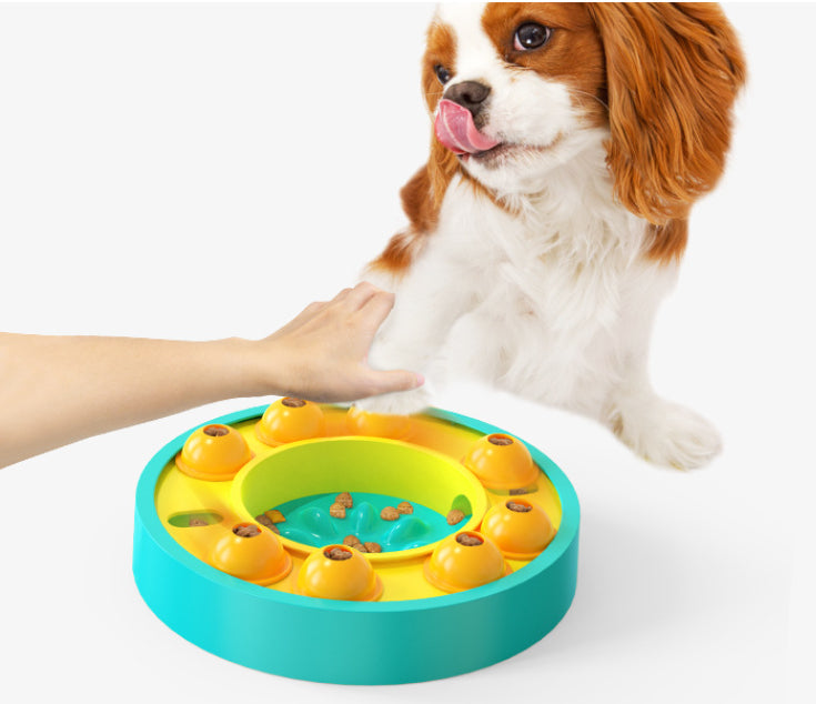 Spinning IQ Puzzle Slow Feeder Bowl