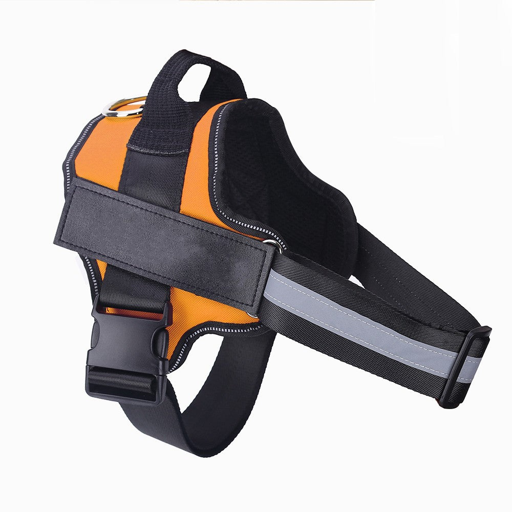 Dog wearing no-pull reflective harness on a walk