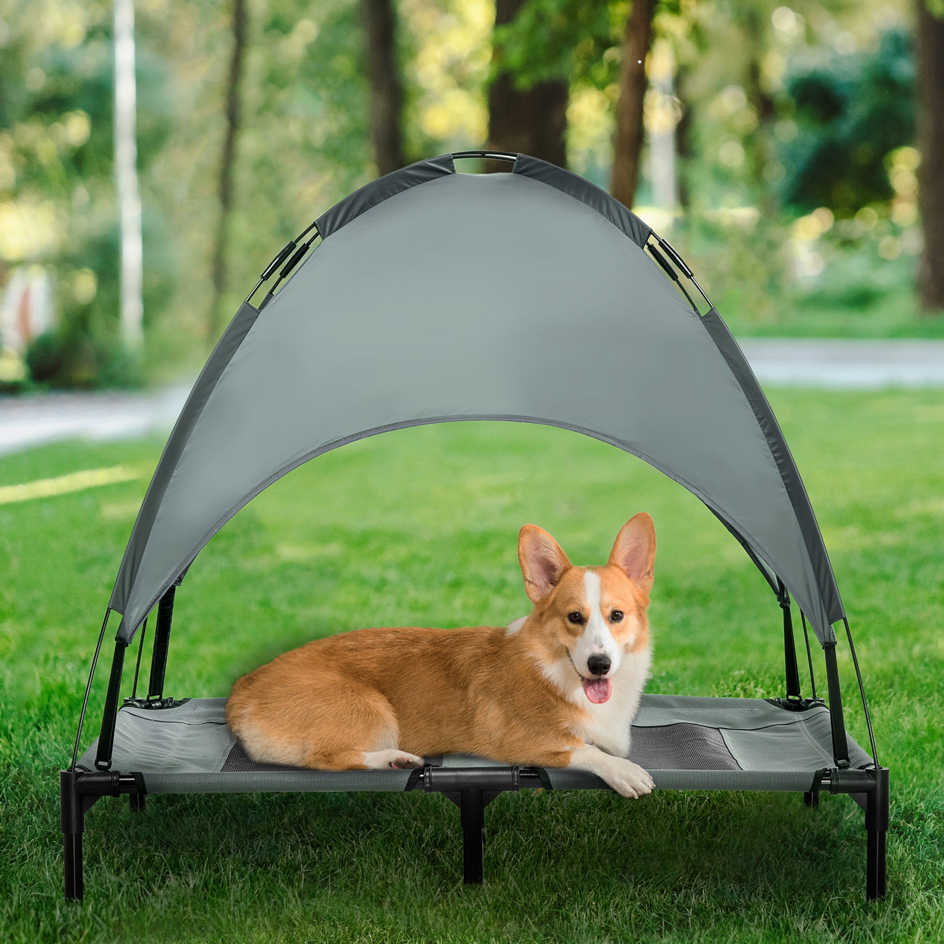 Raised dog bed with breathable mesh