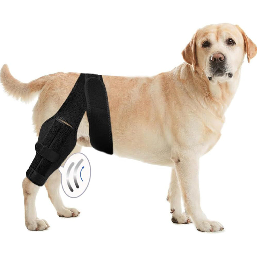Dog Knee & Joint Support Brace
