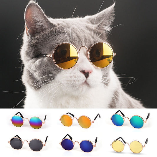 Fun Pet Sunglasses and Eye Wear for Cats and Small Dogs