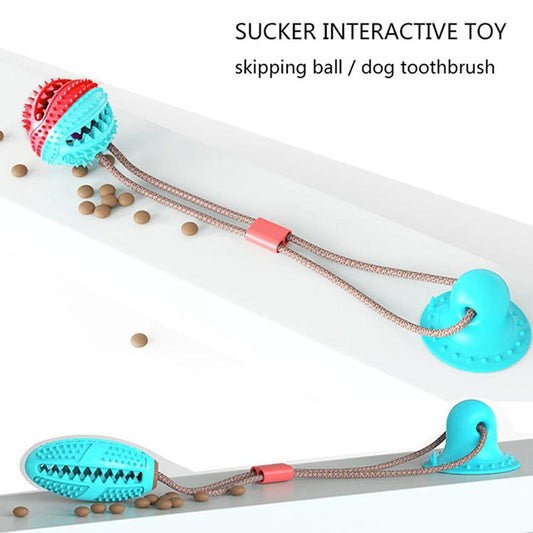 Rubber Molar Bite Toy with Suction Cup for Dogs
