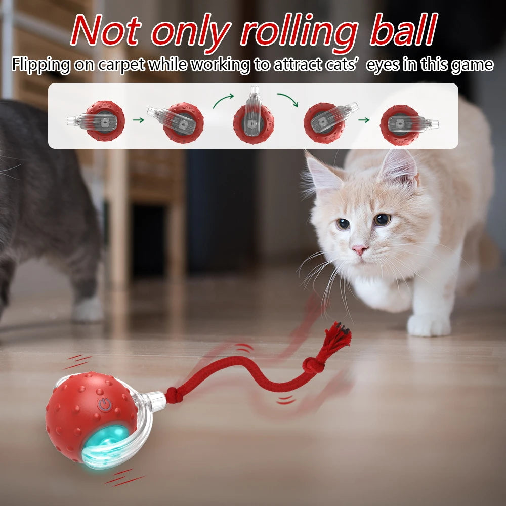 Motion-Activated Chirping Cat Ball Toy