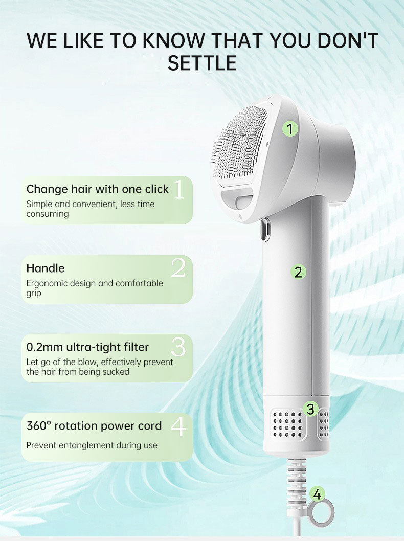 Quiet Pet Hair Dryer & Comb