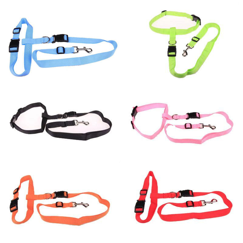 Adjustable Bungee Dog Running Leash