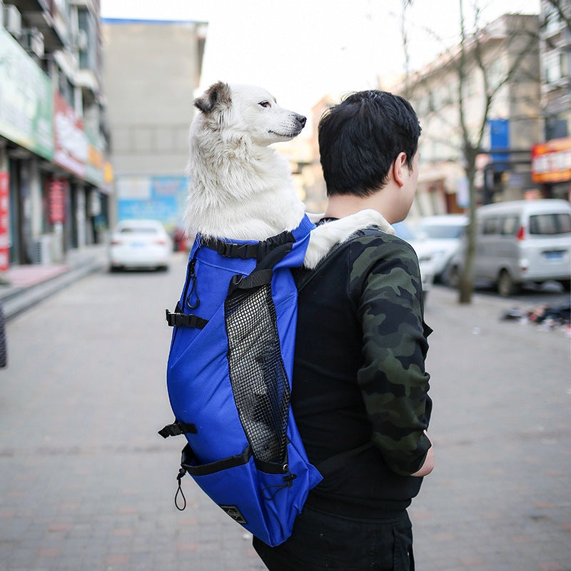 Pet travel backpack with double shoulder straps in multiple sizes