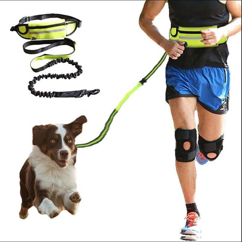 Shock-absorbing bungee hands-free waist leash run freely with your dog