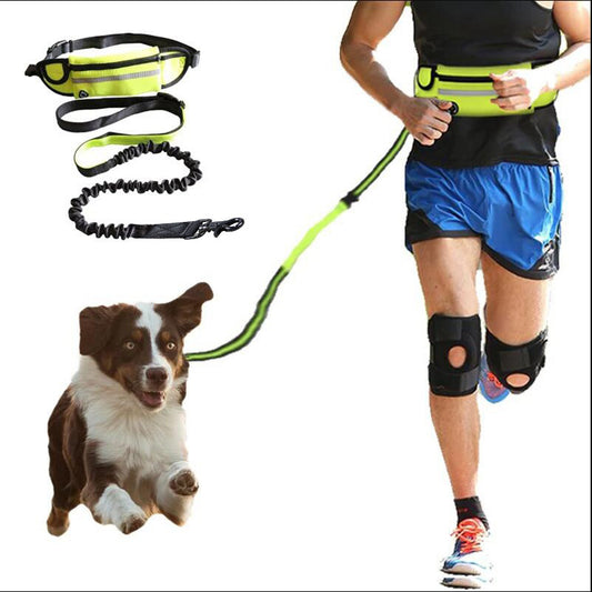 Shock-absorbing bungee hands-free waist leash run freely with your dog