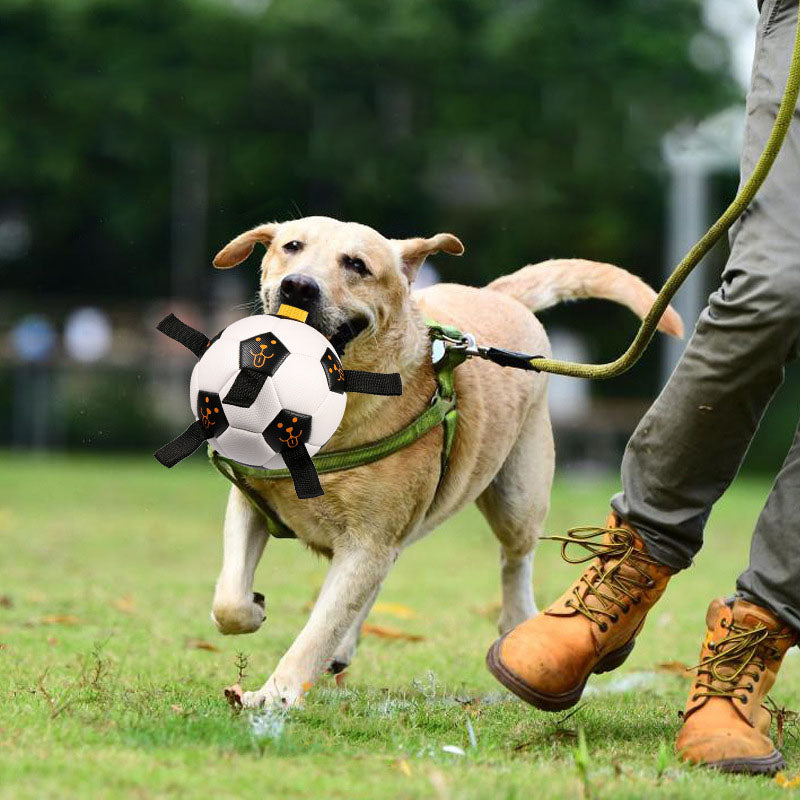 Football Dog Toy with Rope