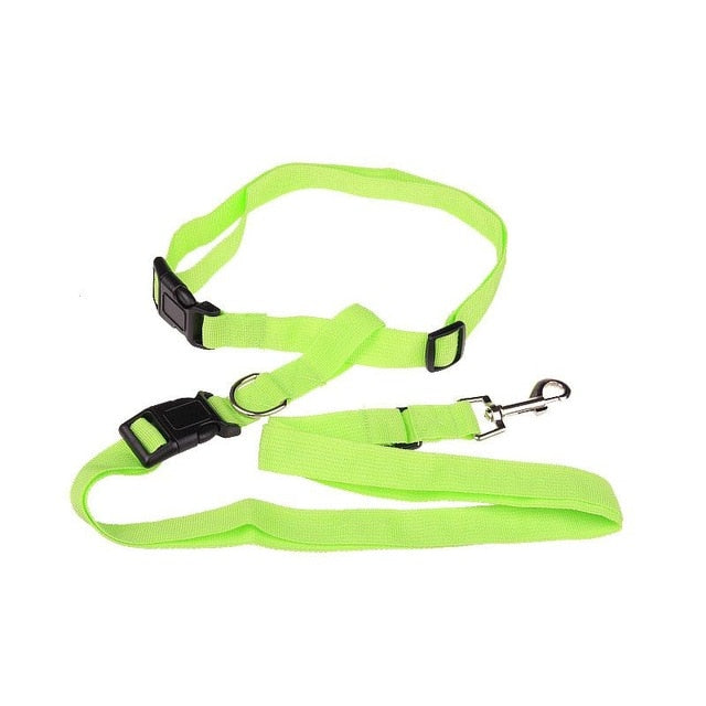 Adjustable Bungee Dog Running Leash