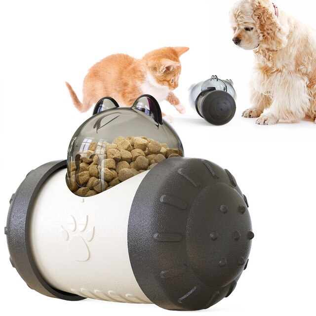 Food-Dispensing Swing Car Pet Toy