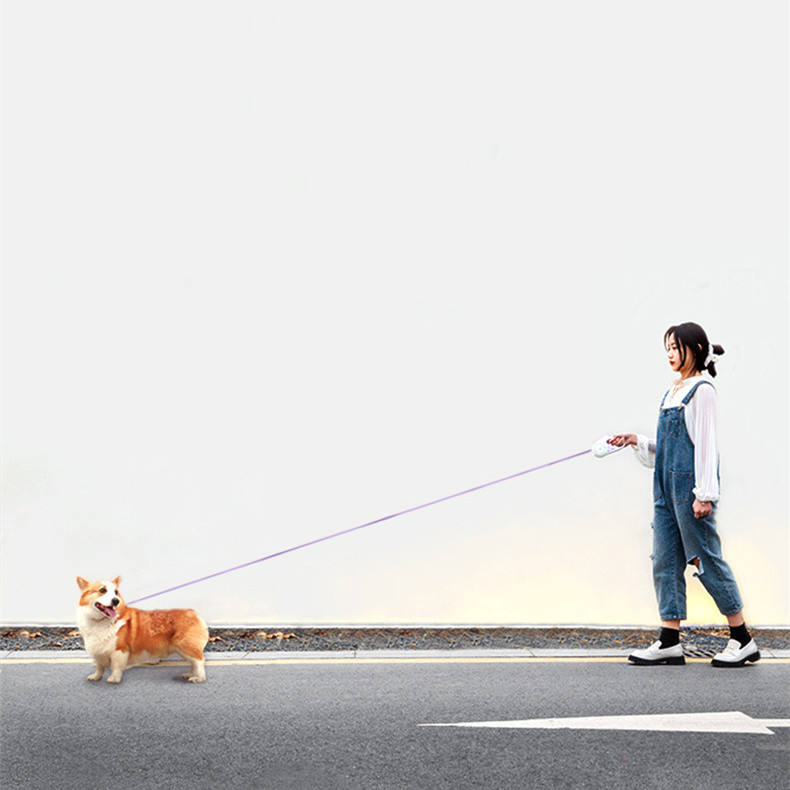 LED Retractable Dog Leash, Auto-Retract