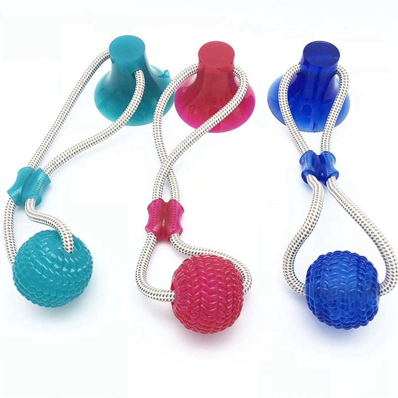 Suction Cup Molar Dog Chew Toy