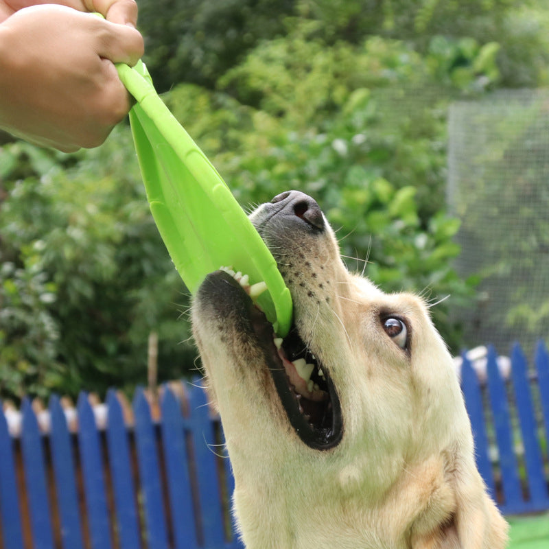 Soft Dog Frisbee for Training and Fetch