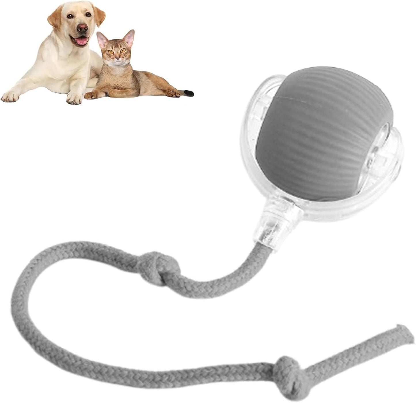 Chase & Fetch Rope Ball Toy