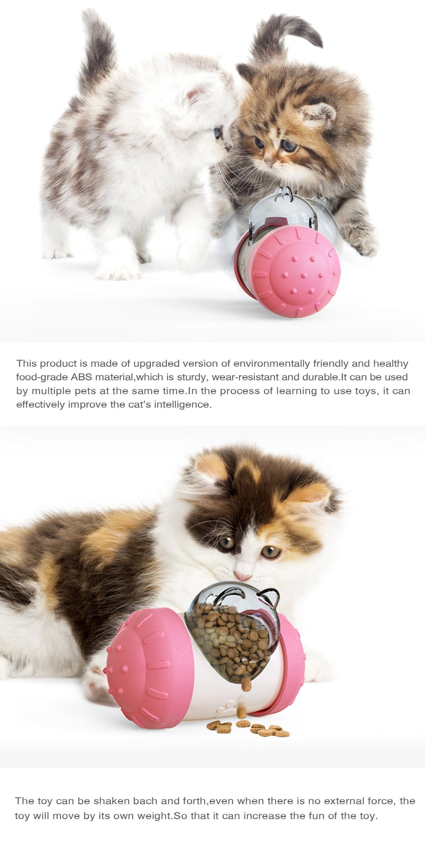 Food-Dispensing Swing Car Pet Toy