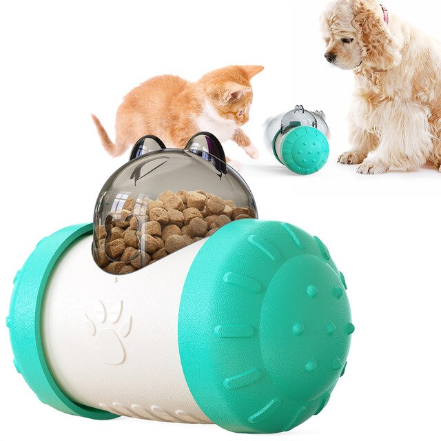 Food-Dispensing Swing Car Pet Toy