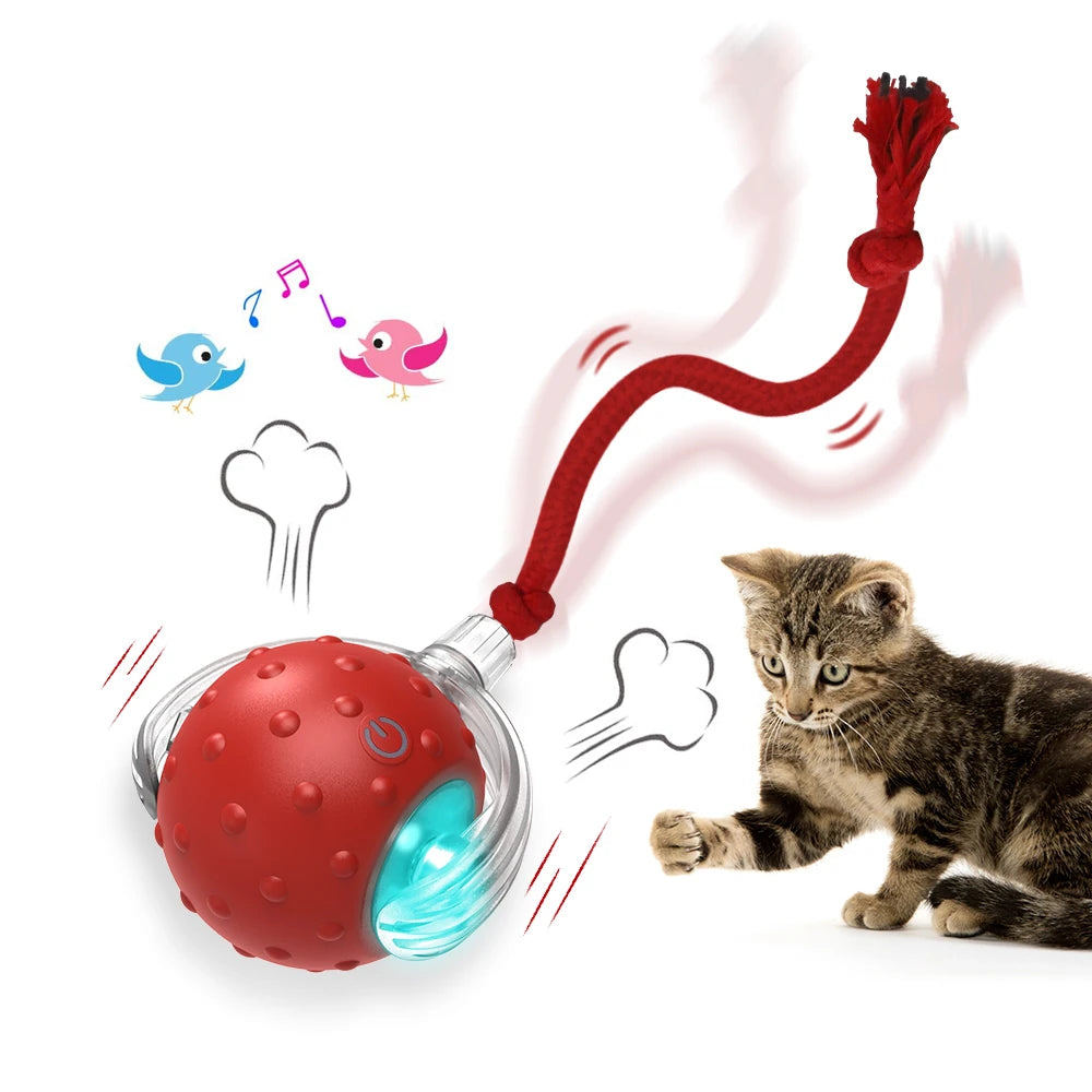 Motion-Activated Chirping Cat Ball Toy