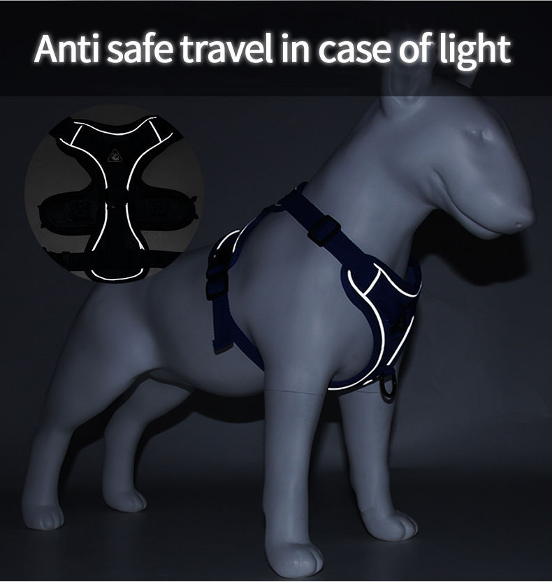 Reflective Mesh Dog Harness & Leash