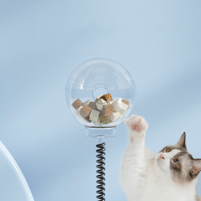 Cat Treat Turntable & Spring Ball Toy