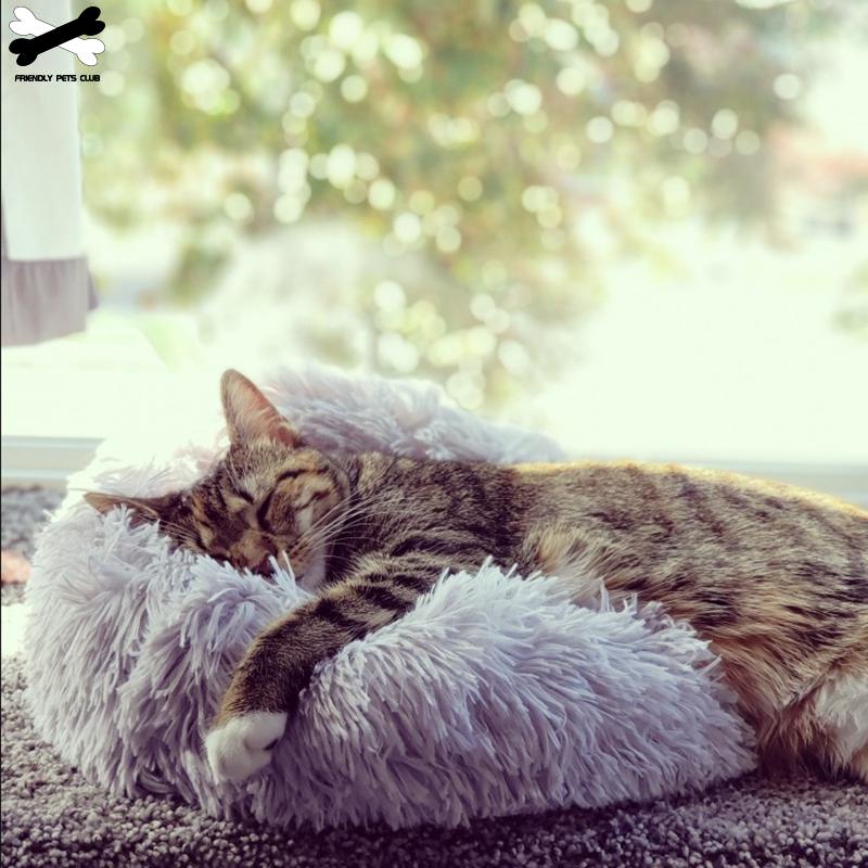 Ultra-Soft Corduroy Donut Cuddler Bed