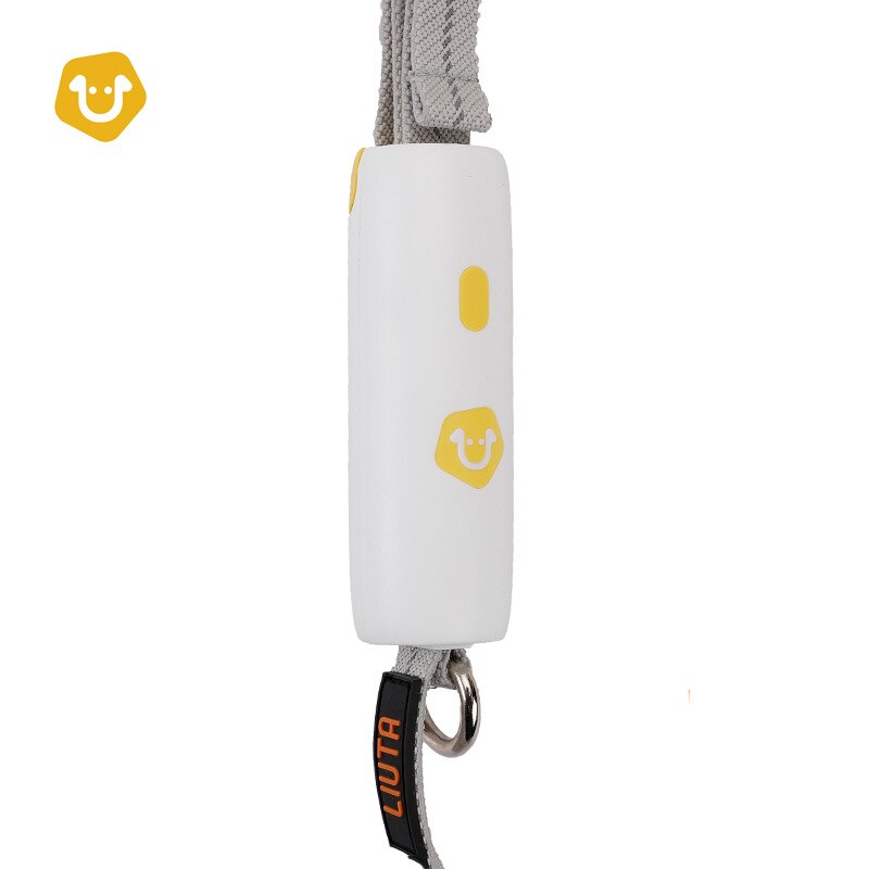 Reflective Bungee Dog Leash with Strap