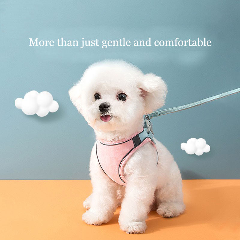 Vest-Style Pet Harness with Leash