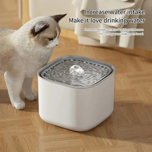3L USB Circulating Filter Automatic Pet Fountain Water Dispenser