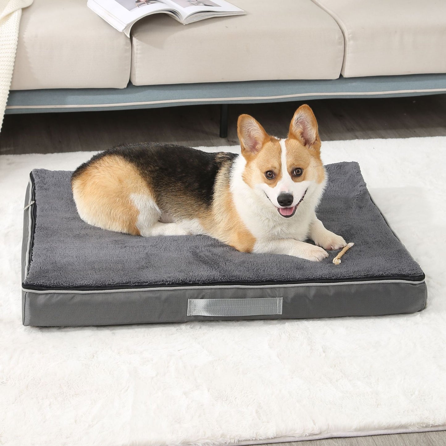 Memory Foam Waterproof Dog Bed