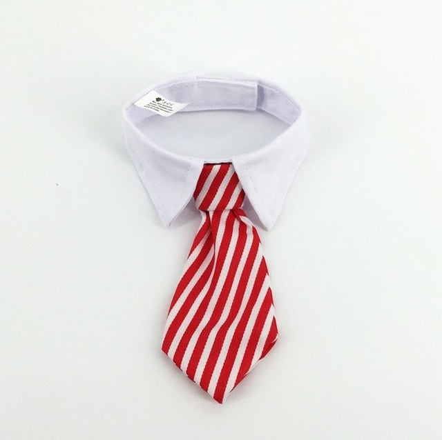 Cute Pet Bow Tie Set