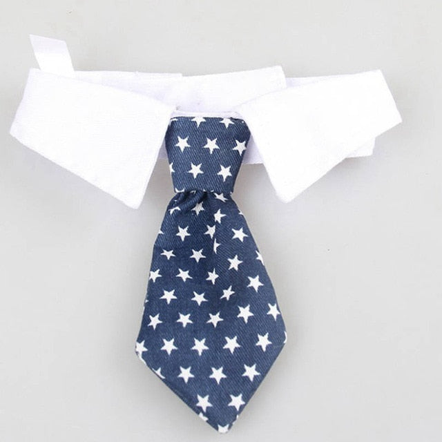 Cute Pet Bow Tie Set