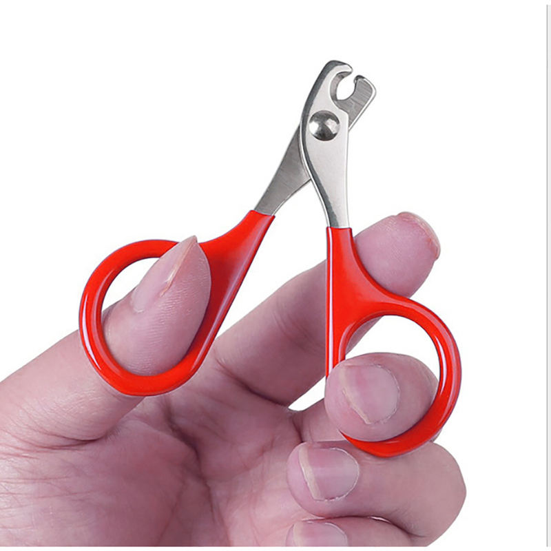 Stainless Steel Professional Pet Nail Scissors for Dogs and Cats