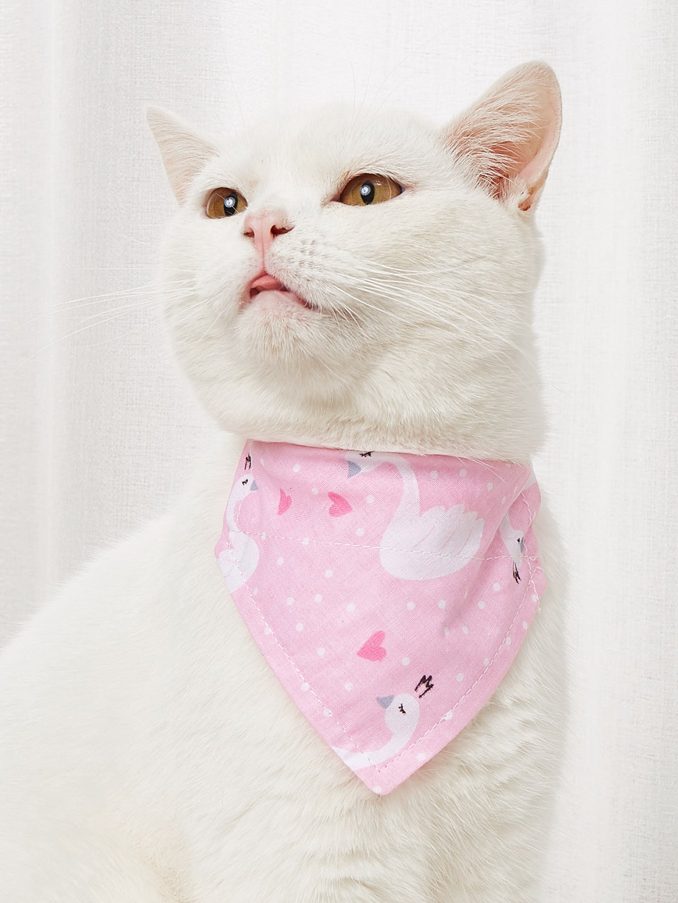 Cartoon Cotton Triangle Pet Bandana