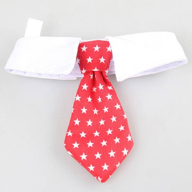 Cute Pet Bow Tie Set