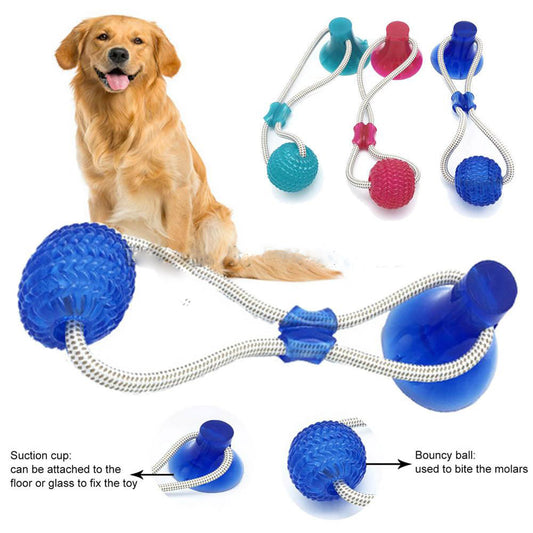 Multifunction Rubber Molar Bite Toy with Suction Cup for Dogs