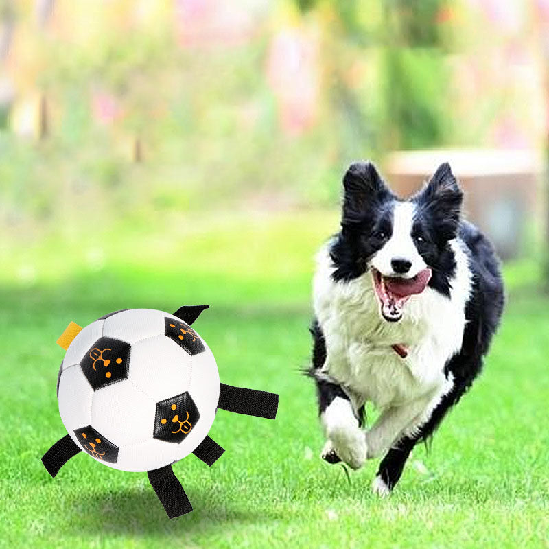 Football Dog Toy with Rope