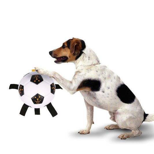 Interactive Outdoor Football Dog Toy with Rope
