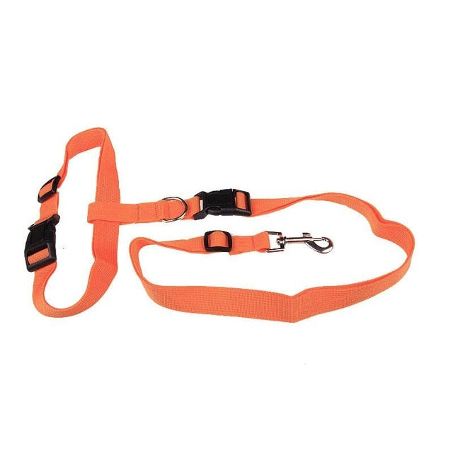 Adjustable Bungee Dog Running Leash