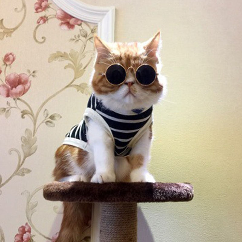 Fun Pet Sunglasses & Eyewear