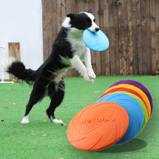 Soft Dog Frisbee for Training and Fetch